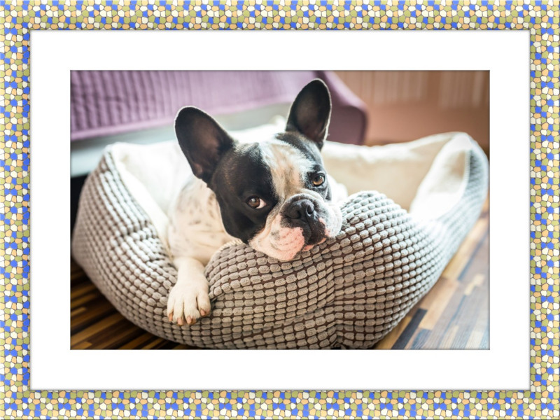 Mosaic Frame Online Photo Frame Maker