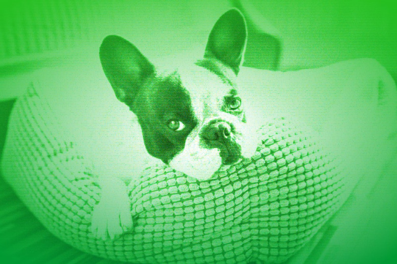 Nightvision photo effect