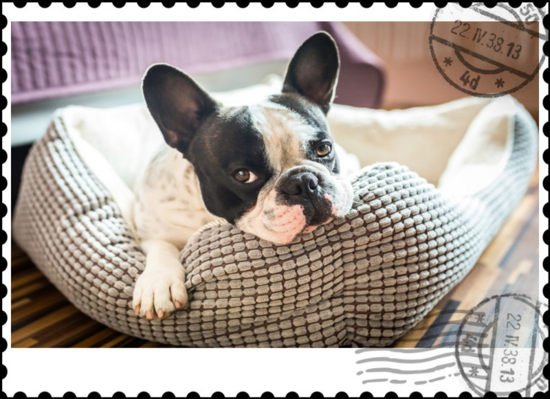 postage stamp picture frame