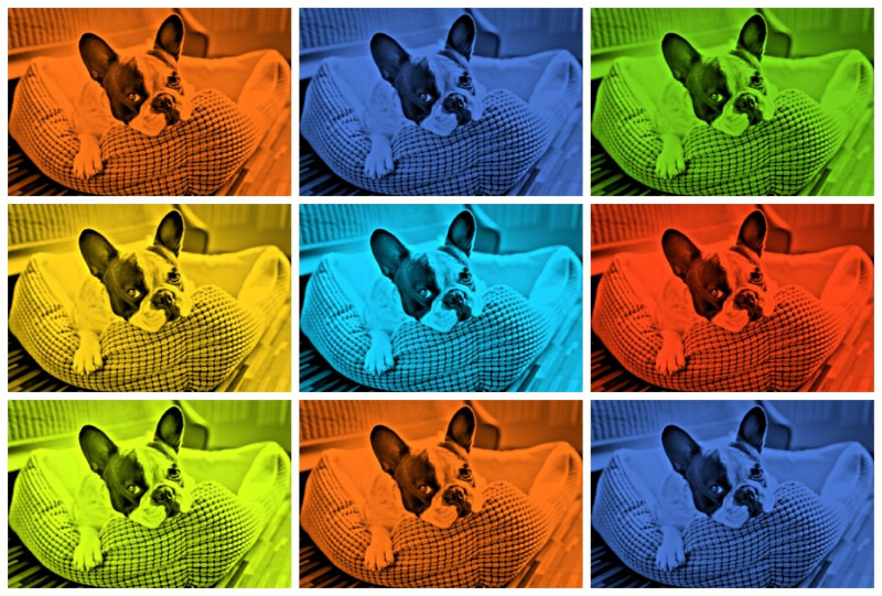 Pop Art Collage Tool