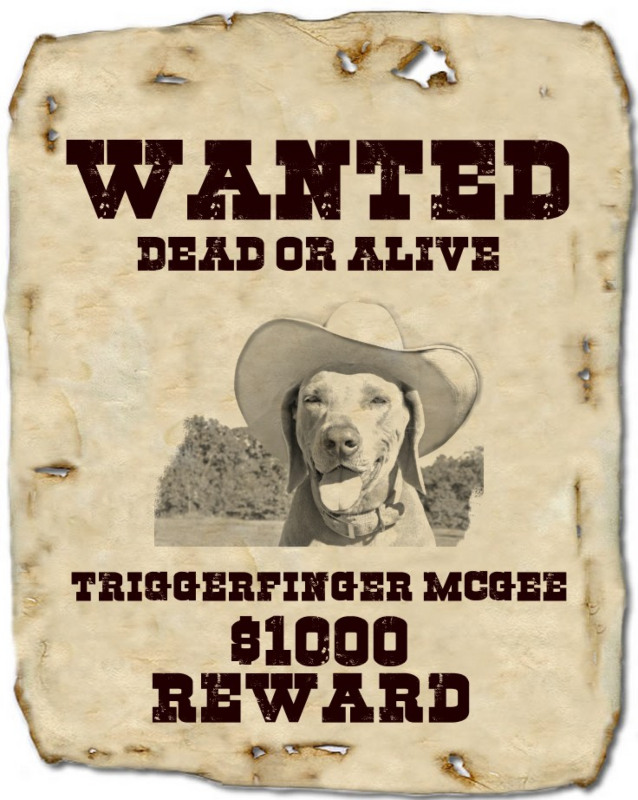 Customizable Wanted Poster