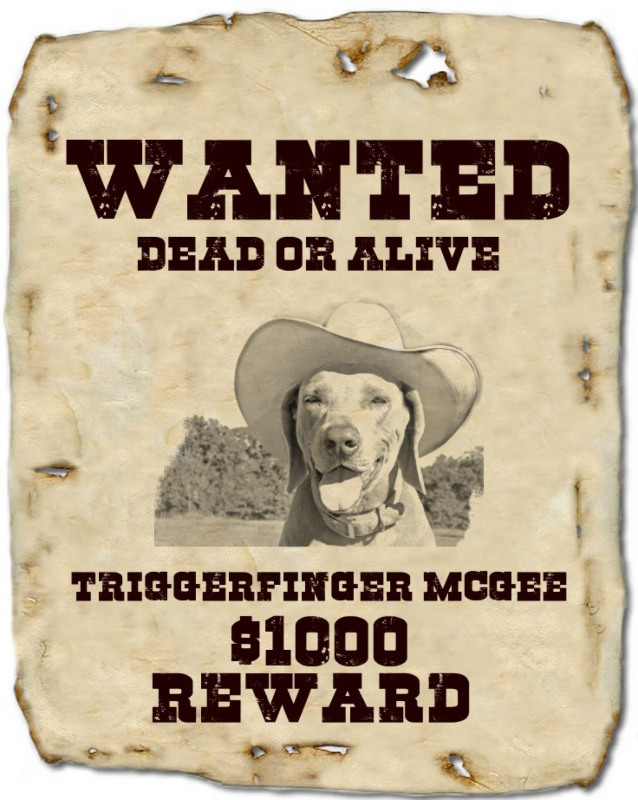 create a wanted poster template