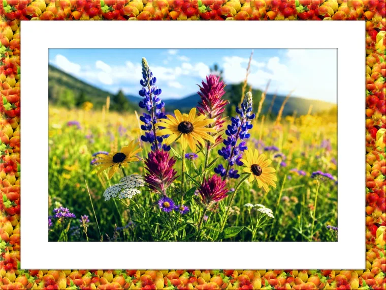 Fruity Frame Preview