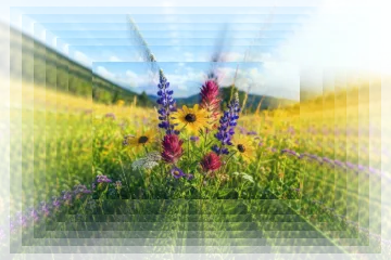 Infinity photo effect preview
