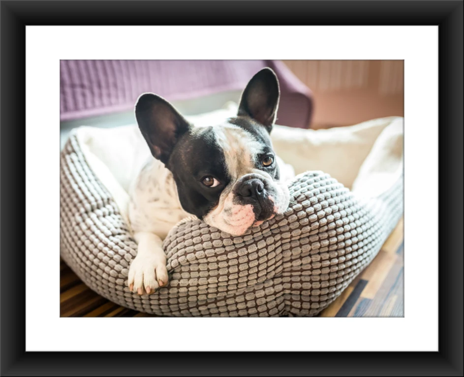 Colored Frame Preview