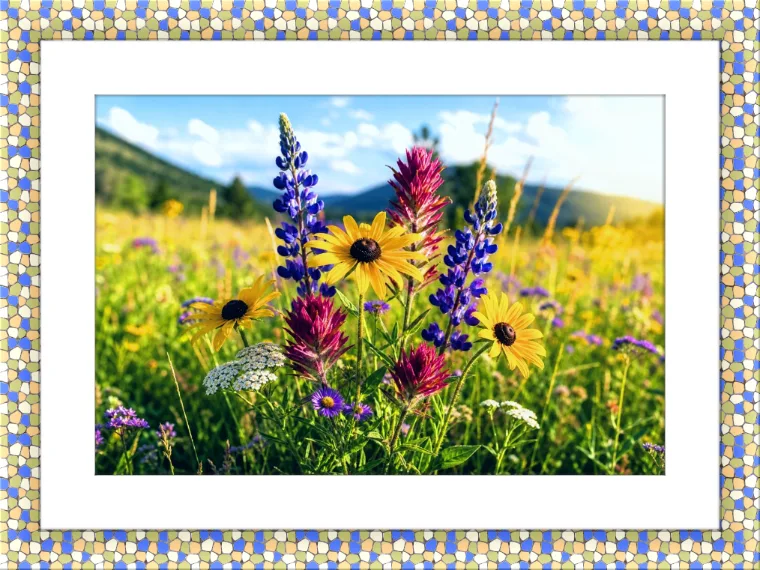 Mosaic Frame Preview