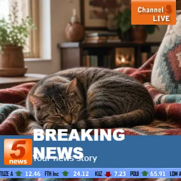 Newscast photo effect preview