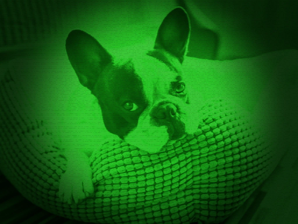 Nightvision Preview