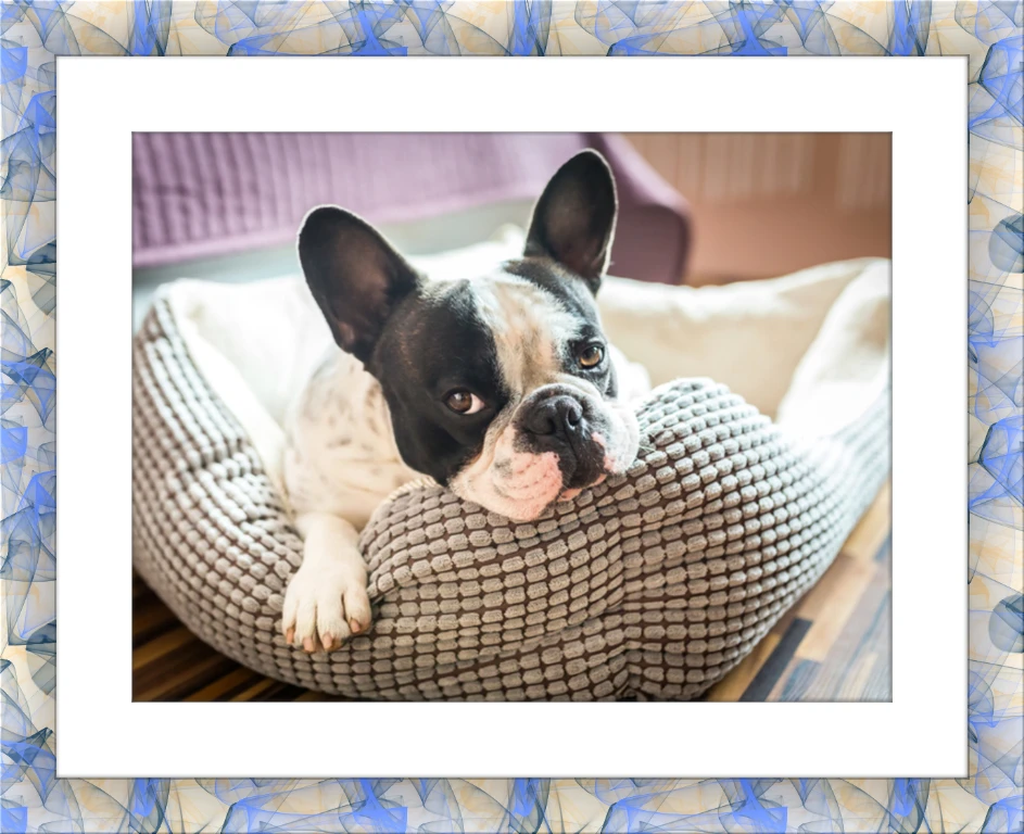 Pastel Frame Preview