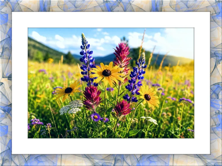 Pastel Frame Preview