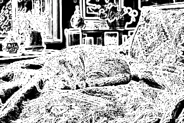 Sobel Edges photo effect preview