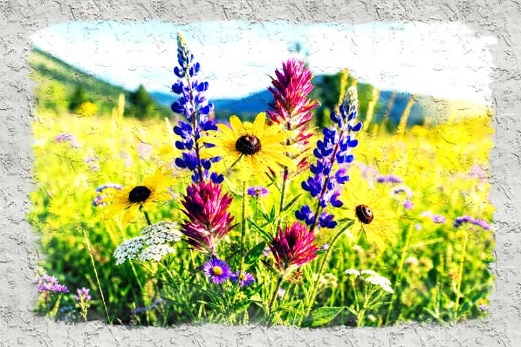 Wall Painting Preview