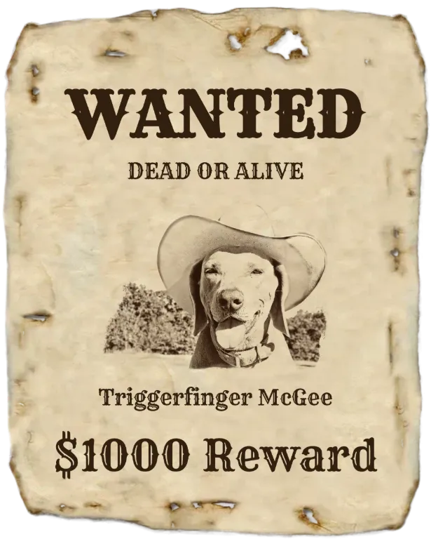 Wanted Poster Preview