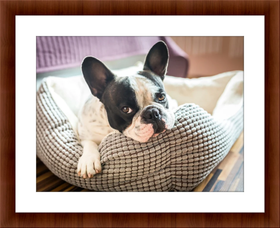Wooden Frame Preview